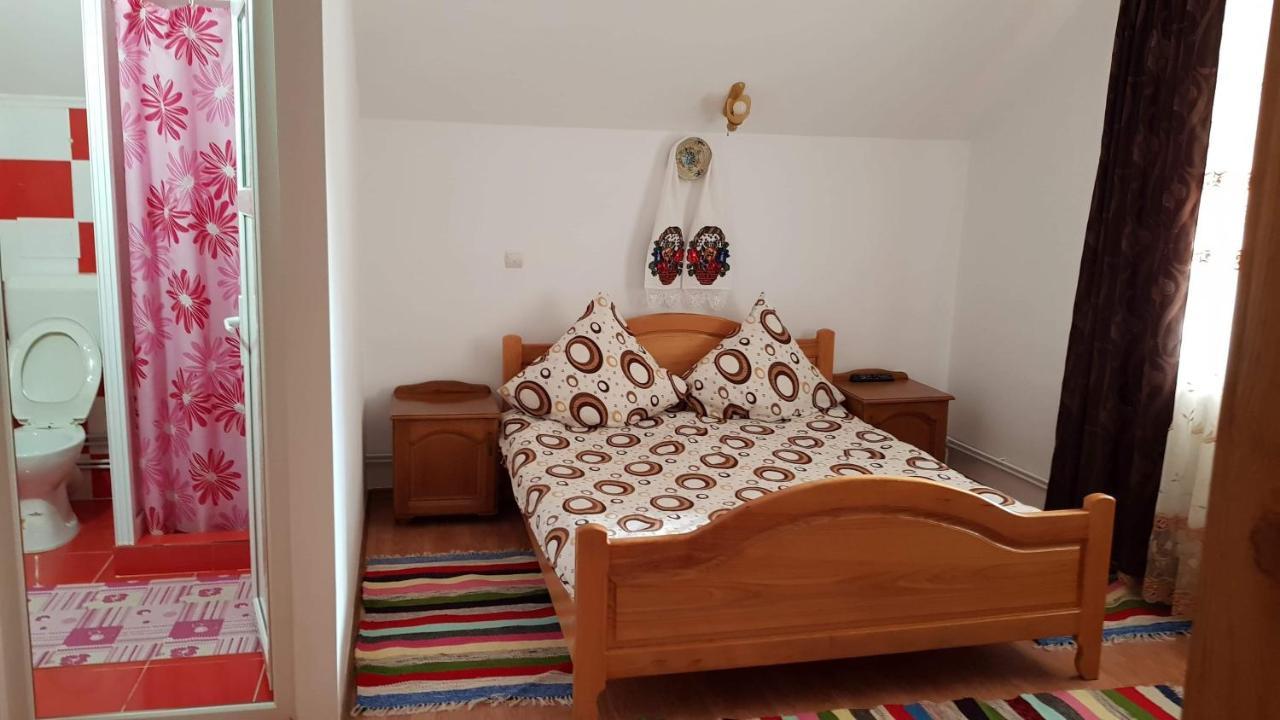 Pensiunea Todorica Sergiu Sieu  Luaran gambar