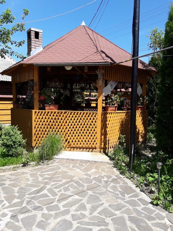 Pensiunea Todorica Sergiu Sieu  Luaran gambar