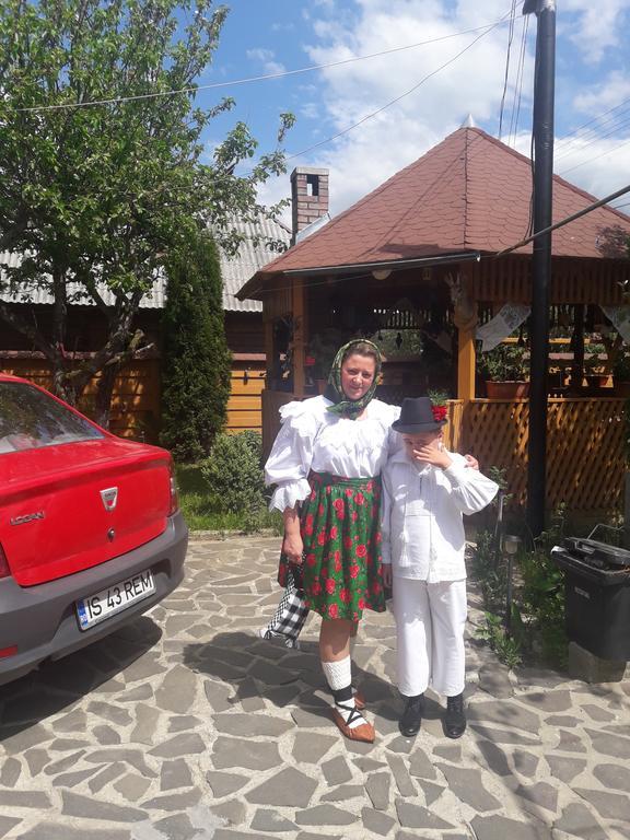 Pensiunea Todorica Sergiu Sieu  Luaran gambar